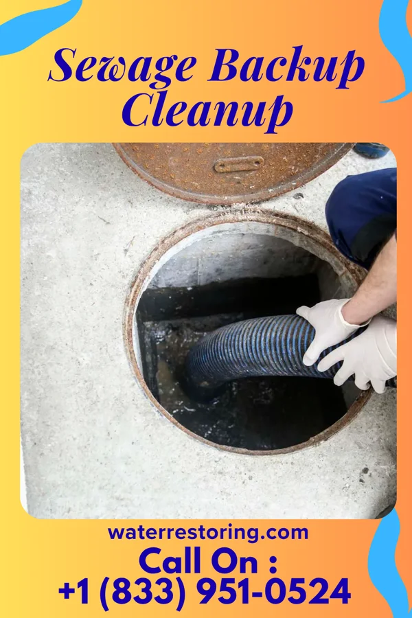 Sewage Backup Cleanup in Jersey, GA